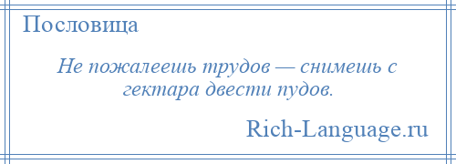 
    Не пожалеешь трудов — снимешь с гектара двести пудов.