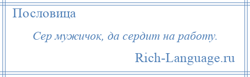 
    Сер мужичок, да сердит на работу.