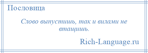 
    Слово выпустишь, так и вилами не втащишь.