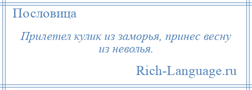 
    Прилетел кулик из заморья, принес весну из неволья.