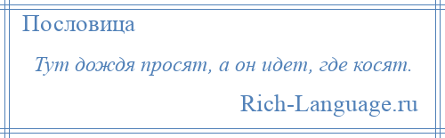 
    Тут дождя просят, а он идет, где косят.