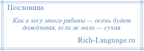 
    Как в лесу много рябины — осень будет дождливая, если ж мало — сухая.