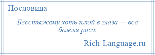 
    Бесстыжему хоть плюй в глаза — все божья роса.