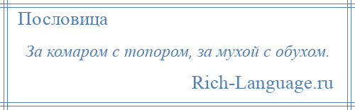 
    За комаром с топором, за мухой с обухом.