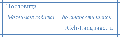 
    Маленькая собачка — до старости щенок.