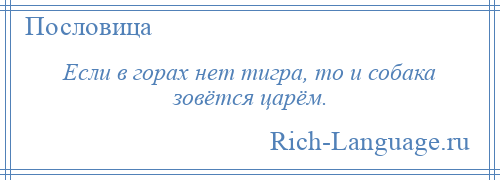 
    Если в горах нет тигра, то и собака зовётся царём.