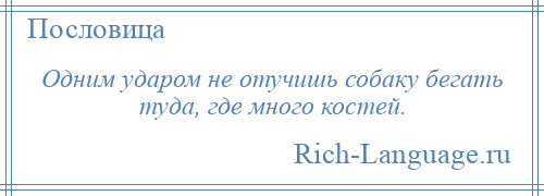 
    Одним ударом не отучишь собаку бегать туда, где много костей.