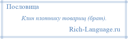 
    Клин плотнику товарищ (брат).