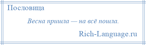 
    Весна пришла — на всё пошла.