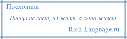 
    Птица не сеет, не жнет, а сына живет.