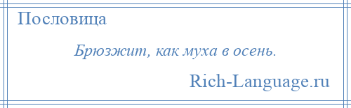 
    Брюзжит, как муха в осень.