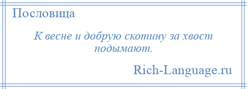 
    К весне и добрую скотину за хвост подымают.