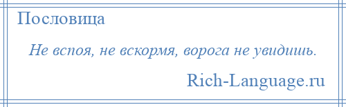 
    Не вспоя, не вскормя, ворога не увидишь.