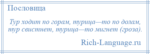 
    Тур ходит по горам, турица—то по долам, тур свистнет, турица—то мигнет (гроза).