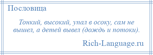 
    Тонкий, высокий, упал в осоку, сам не вышел, а детей вывел (дождь и потоки).