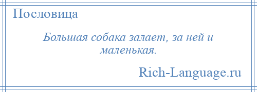 
    Большая собака залает, за ней и маленькая.