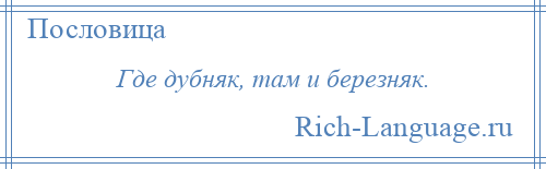 
    Где дубняк, там и березняк.