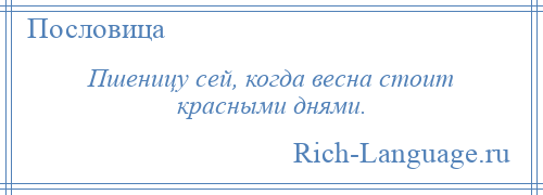 
    Пшеницу сей, когда весна стоит красными днями.