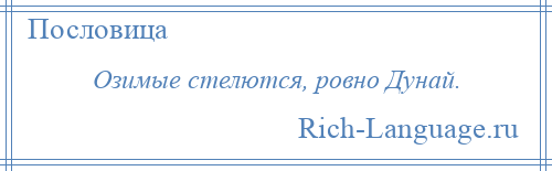 
    Озимые стелются, ровно Дунай.