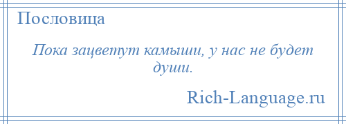 
    Пока зацветут камыши, у нас не будет души.