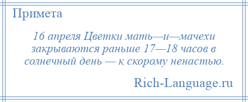 
    16 апреля Цветки мать—и—мачехи закрываются раньше 17—18 часов в солнечный день — к скорому ненастью.