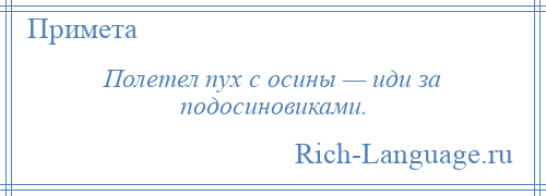 
    Полетел пух с осины — иди за подосиновиками.