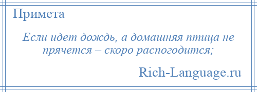 
    Если идет дождь, а домашняя птица не прячется – скоро распогодится;