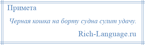 
    Черная кошка на борту судна сулит удачу.