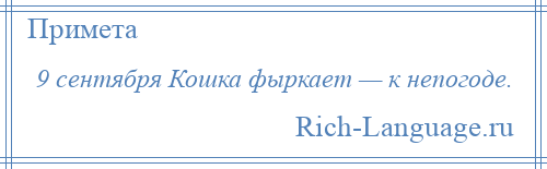 
    9 сентября Кошка фыркает — к непогоде.