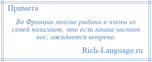 
    Во Франции многие рыбаки и члены их семей полагают, что если кошка чистит нос, ожидается ветрено.