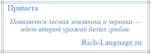 
    Появляется лесная земляника и черника — идет второй урожай белых грибов.