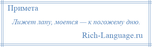 
    Лижет лапу, моется — к погожему дню.