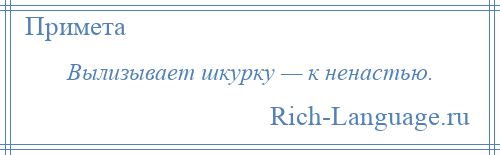 
    Вылизывает шкурку — к ненастью.