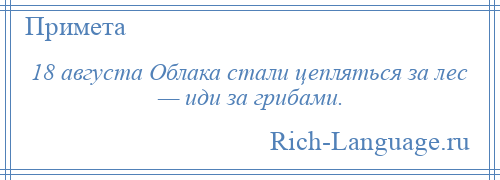 
    18 августа Облака стали цепляться за лес — иди за грибами.