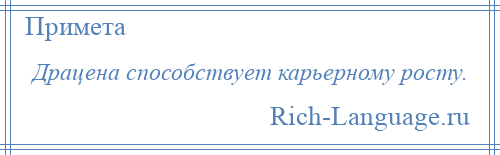 
    Драцена способствует карьерному росту.