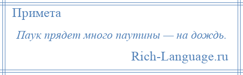 
    Паук прядет много паутины — на дождь.