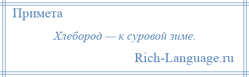 
    Хлебород — к суровой зиме.