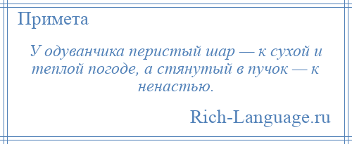 
    У одуванчика перистый шар — к сухой и теплой погоде, а стянутый в пучок — к ненастью.