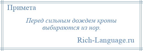 
    Перед сильным дождем кроты выбираются из нор.