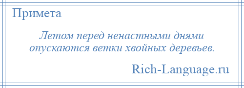 
    Летом перед ненастными днями опускаются ветки хвойных деревьев.