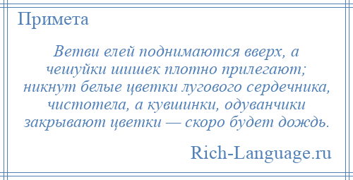 
    Ветви елей поднимаются вверх, а чешуйки шишек плотно прилегают; никнут белые цветки лугового сердечника, чистотела, а кувшинки, одуванчики закрывают цветки — скоро будет дождь.