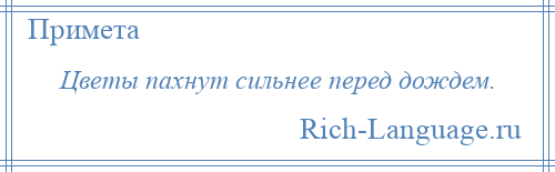 
    Цветы пахнут сильнее перед дождем.