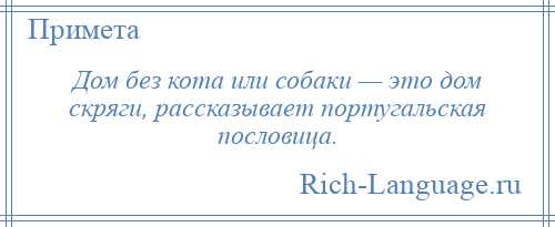 
    Дом без кота или собаки — это дом скряги, рассказывает португальская пословица.