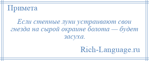 
    Если степные луни устраивают свои гнезда на сырой окраине болота — будет засуха.