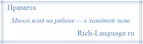 
    Много ягод на рябине — к холодной зиме.