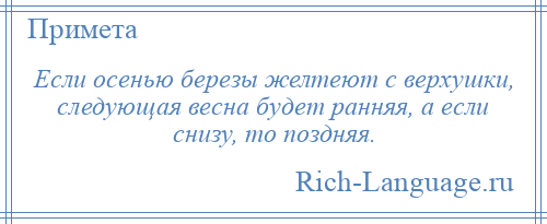 
    Если осенью березы желтеют с верхушки, следующая весна будет ранняя, а если снизу, то поздняя.