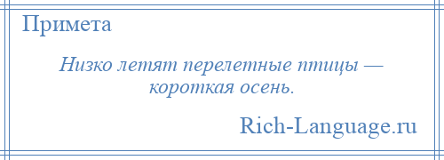 
    Низко летят перелетные птицы — короткая осень.