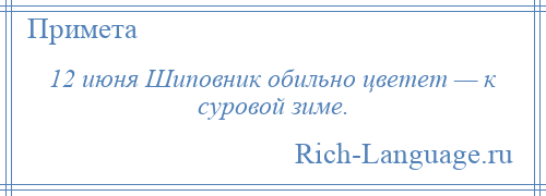 
    12 июня Шиповник обильно цветет — к суровой зиме.