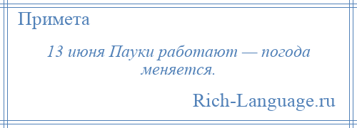 
    13 июня Пауки работают — погода меняется.