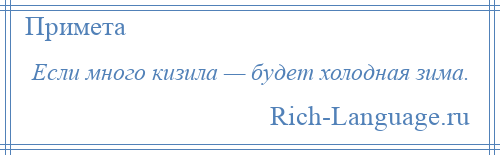 
    Если много кизила — будет холодная зима.